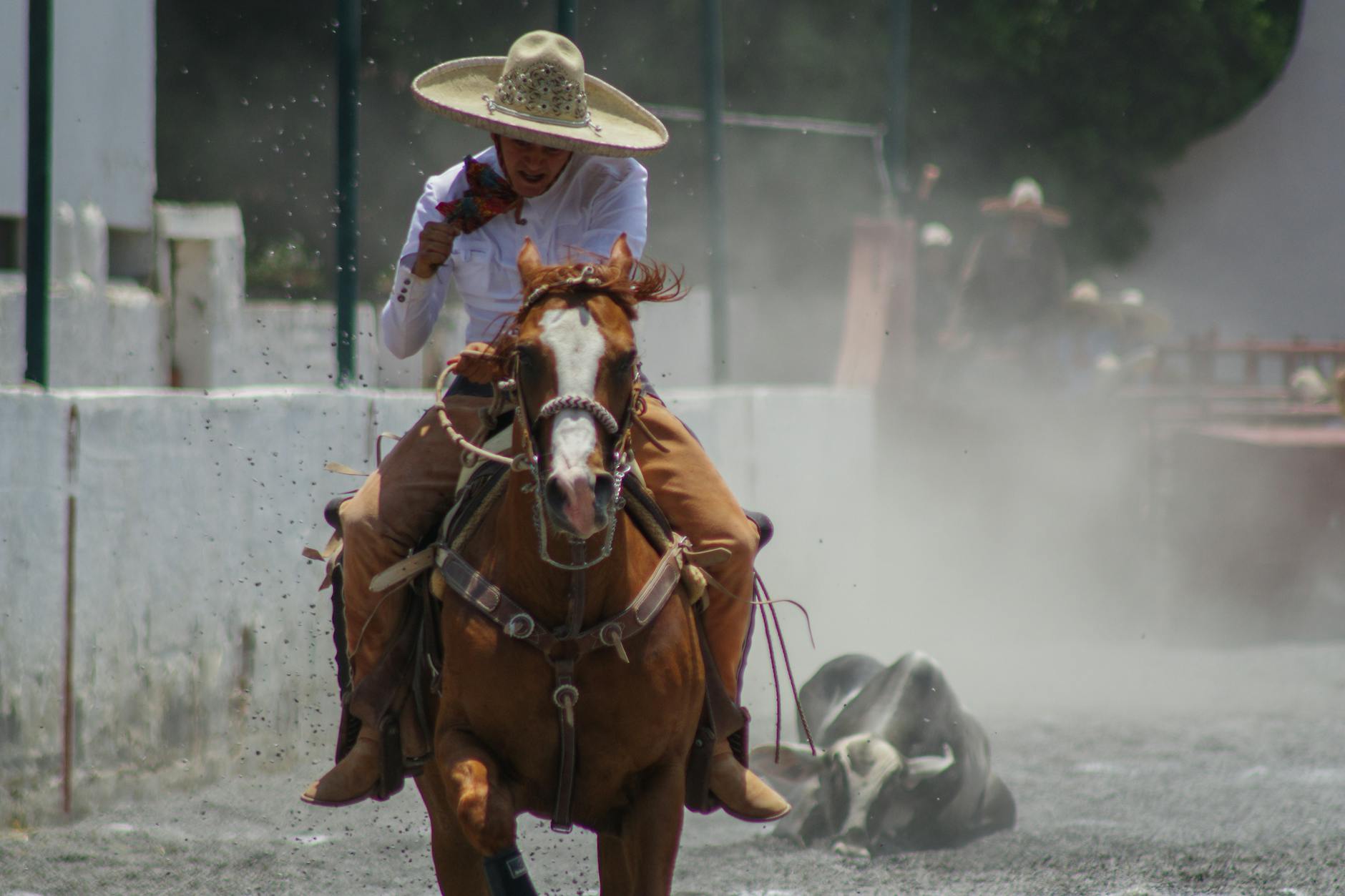 El deporte mexicano fragmentado: CONADE, olimpiadas y eventos adaptados sin estrategia integral