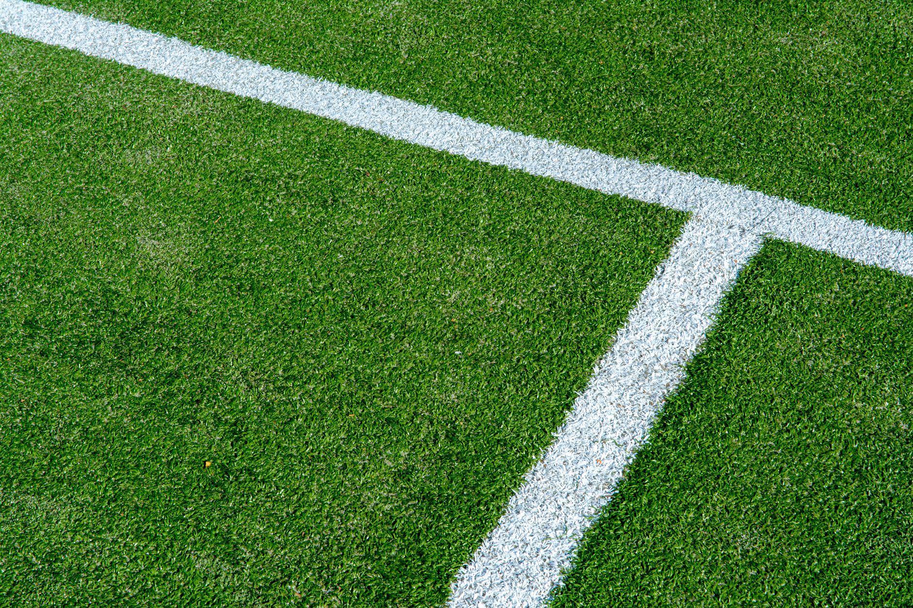 Wimbledon 2026: España envía su mayor delegación en años mientras Zverev compite con alergia al césped